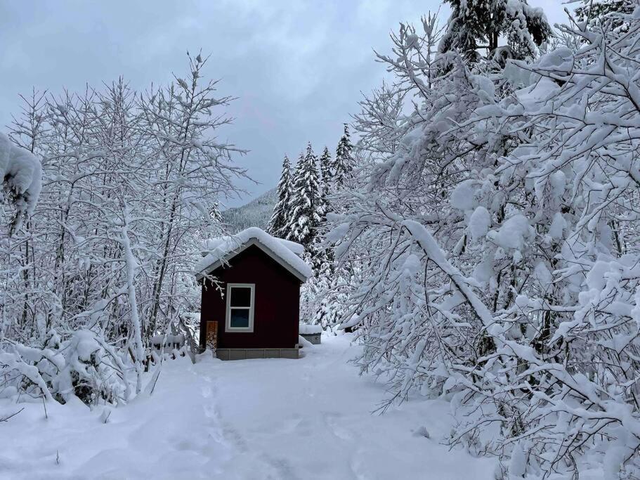 Cozy Tiny Home Steps Away From Mt. Rainier Ashford Buitenkant foto