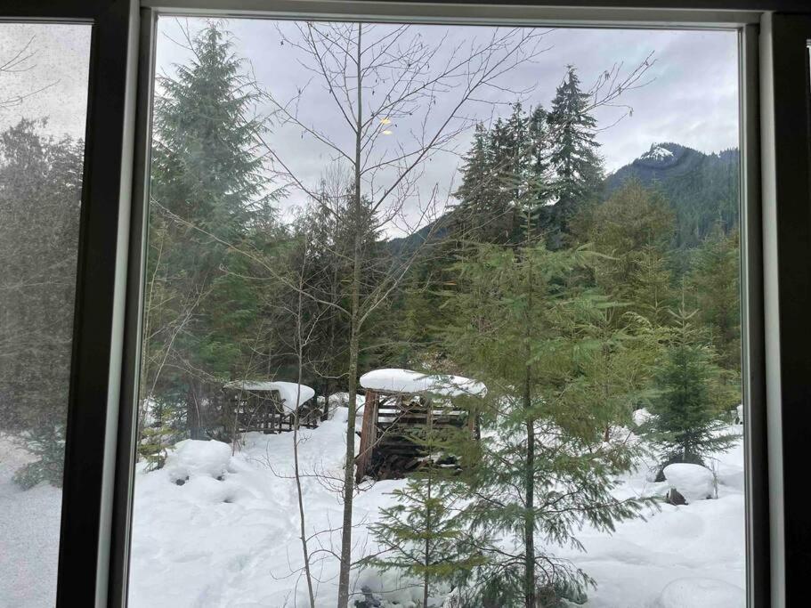 Cozy Tiny Home Steps Away From Mt. Rainier Ashford Buitenkant foto